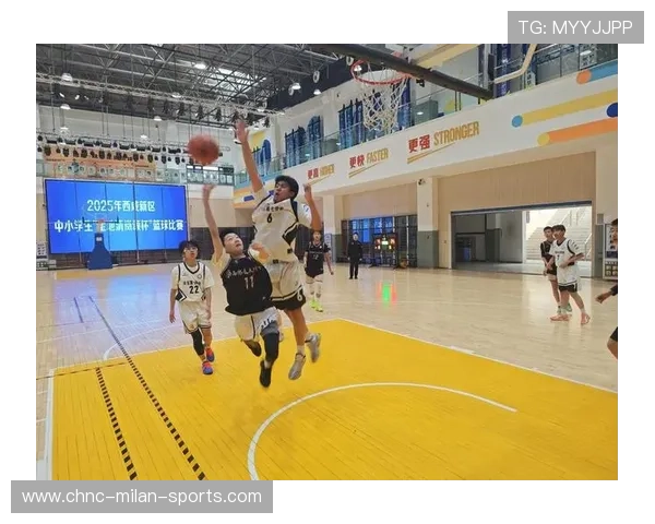 NBA球队文化建设对比赛表现的影响研究,球队文化包括什么 NBA球队文化建设对比赛表现的影响研究,球队文化包括什么